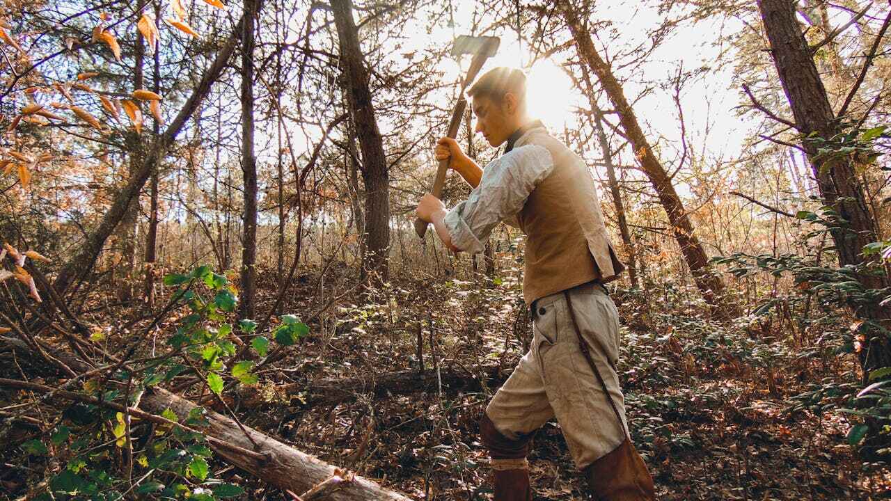 Best Tree Trimming Near Me  in Opelousas, LA